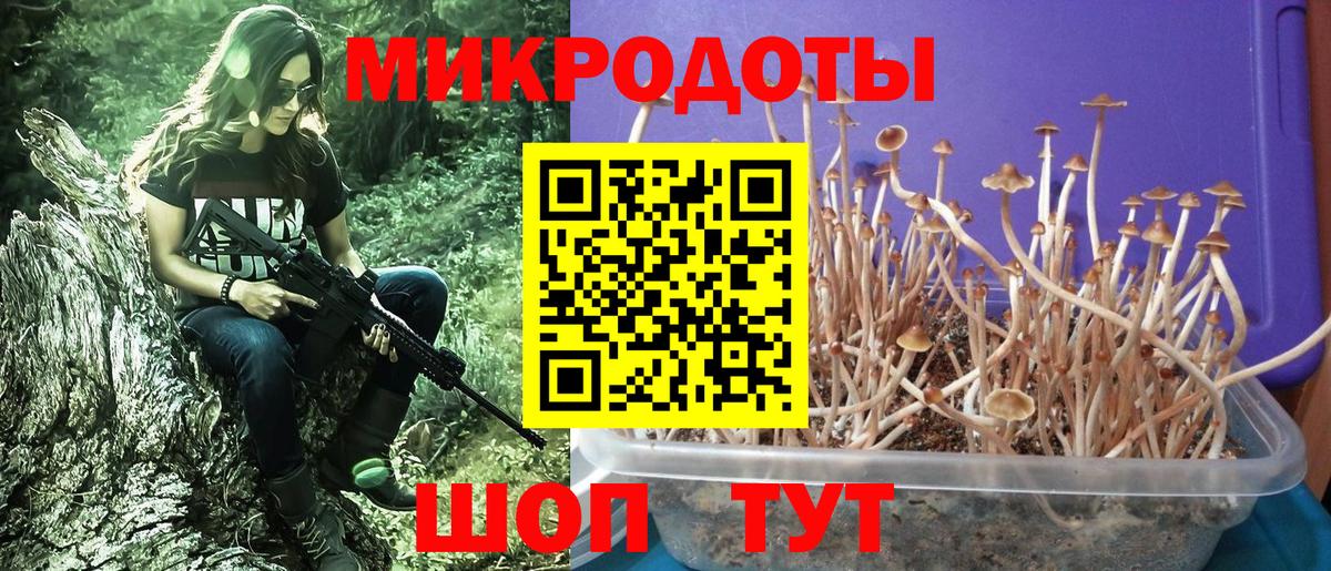 Ирбит  Галлюциногенные грибы прущие грибы  Вход с VPN 